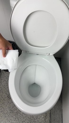 Voyez ce qui se passe si vous jetez du papier toilette dans les toilettes ! 🚽#fyp #ménage #tikiokfrance #conseils #santé #astuces
