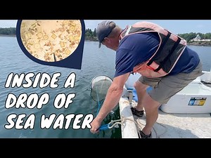 Plankton Tow & Microscope Reveal – What’s in Ocean Water?