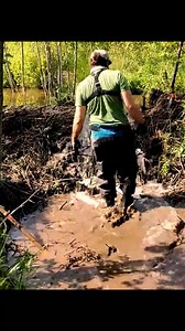 9.8K views · 98 reactions | Manual Beaver Dam Removal Time-Lapse Ver | Beaver Dam Removal | Facebook