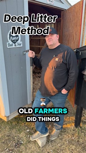 Fugate Farms on Instagram: "Deep litter works! #farmlife #chicken #reel #homestead #truth"