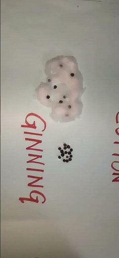 # chart work # project # production of cotton