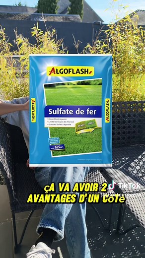 Retirer la mousse de gazon facilement : 2 solutions