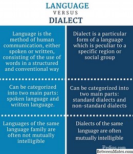 方言与语言 - 语言 2026