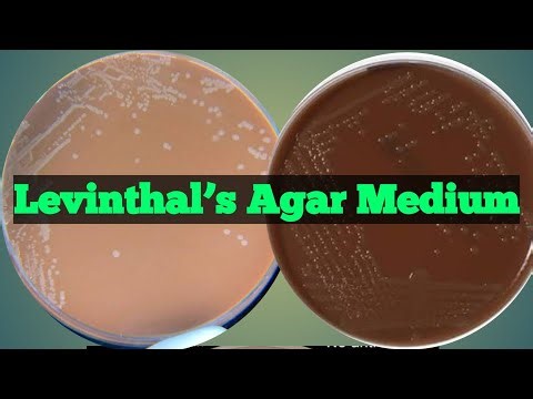 Levinthal's agar medium: Culture media lecture 43
