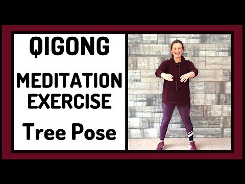QIGONG TREE POSE - MEDITATION EXERCISE TO FOLLOW 🙏 (May 2021)