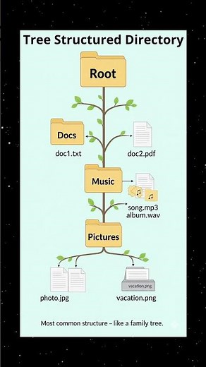 Directory Structures in OS | Computer File System Explained | CS Wali Madam