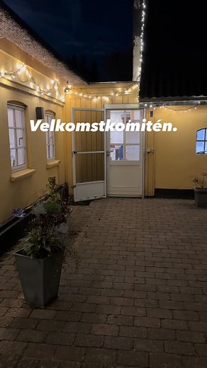 Den anden dag lagde jeg et billede op af min velkomstkomité. Flere spurgte, hvordan det så ser ud, når jeg kommer ind til dem – og her er svaret. Jeg havde bare været ovre med kaffen i det gule hus. To minutter væk. Men uanset om det er 2 minutter eller 2 timer, så bliver jeg modtaget på præcis samme måde. Mine hunde må gerne springe op (ja, op af alle). Når min mor kommer, pakker jeg dem bare væk – ellers er de fleste vant til mine uopdragne hunde. Jeg kommer aldrig ind til dem med høj energi. 