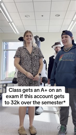 Boost Your Grades: A Exam Challenge for Students