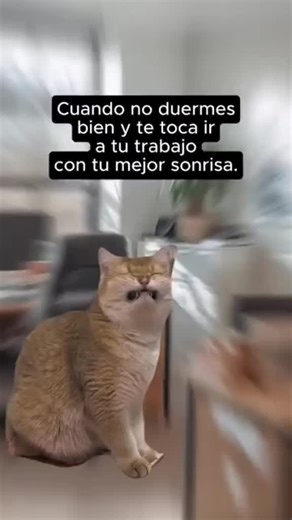 Videos de LIZET QUECA (@lizet.queca) con “Trabajo - Marisela Reyes”