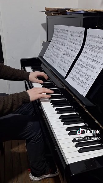 Dardo Andrés Arbiza on TikTok