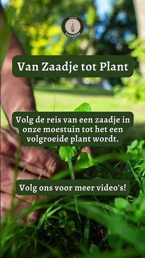 Van Zaadje tot Plant