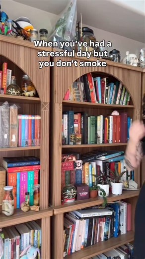 Inspire Exotics • Exotic Pet Content Creator on Instagram: "Featuring Mr. Toad the Saharan Uromastyx . . . . . . Reptiles • Lizards • Girls with reptiles • Exotic pets . . . . . . #reptilekeeper #girlswithreptiles #exoticpets #viral"