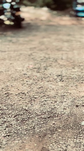 පිස්සුද දුවන්නේ නැහැ - Sri Lanka Bus Lover Moments