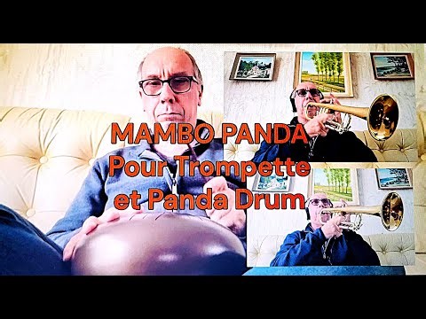 Trompette : Mambo pour un Panda - Trompette et Panda Drum Trumpet Cover Stéphane Piso, Trompettiste