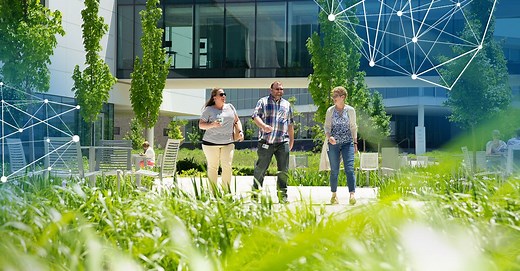 Les emplois chez Roche