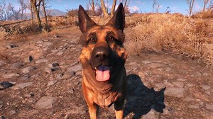 【動画あり】Fallout4の主人公をドッグミート化するModが登場。自分も相棒もドッグミートになれる。 - Game Saved　海外のゲーム情報ブログ