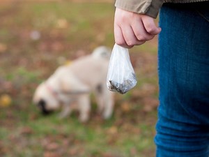Is It OK To Put Dog Poop In A Neighbor's Trash Bin? [Block Talk]