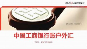 中国工商银行账户外汇业务介绍