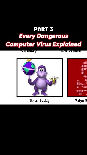 Understanding Computer Viruses: Bonzi Buddy, Petya, and Memes Malware
