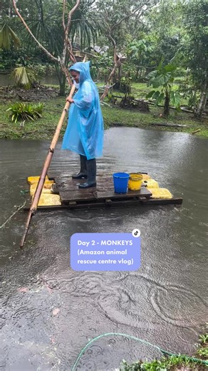 Exploring Amazon Wildlife: A Journey Through the Jungle