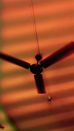 Top 10 High-Speed Ceiling Fans in 2026 #ceilingfan #trending