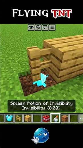 flight TNT #minecraft