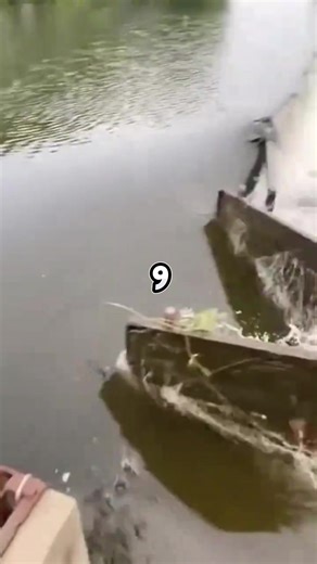 La parte 2 está disponible en el canal UMBRAL1k en YouTube. Puedes encontrar el enlace en la bio o buscar “Umbral1K” directamente en YouTube. #askreddit #redditespañol #tiktokespaña #terror #historiasreddit