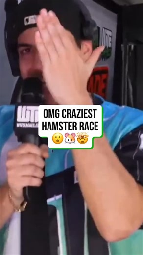 WTF Leagues on Instagram: "Omg I didn’t know they raced hamsters 😮🐹 #f1 #hamster #racing"