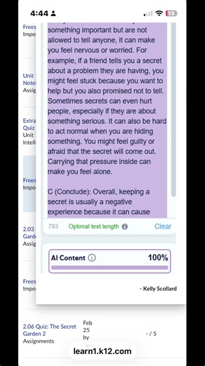 My daughters K12 computer doesn’t allow access to AI