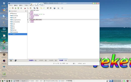 一款为熟练的Web设计员和程序员而设的编辑器Bluefish编辑器