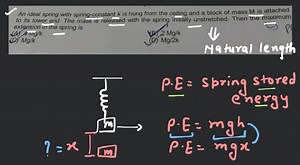 An ideal spring with spring-constant K is hung from the ceiling... | Filo