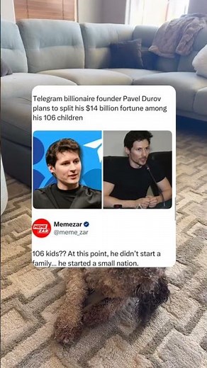 When your plan goes exactly wrong 😂\nSubscribe to MEMEMUFFIN for daily MEMES