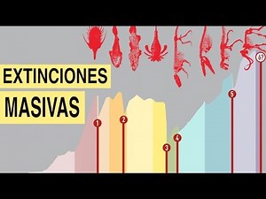 ¿Fueron 5 las extinciones masivas en la Tierra?
