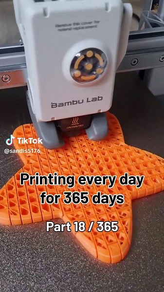 Sea Star Relaxation: A Fidget Toy for Cats