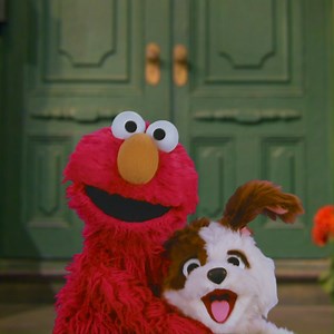16K views · 1.2K reactions | Elmo and Tango are so excited for our first #NationalPetDay together! What should Tango get as a special treat? #FurryFriendsForever | Elmo | Facebook