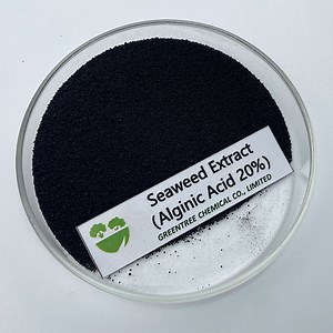 [Hot Item] Wholesale Natural Ascophyllum Nodosum Source Seaweed Extract Alginic Acid 20%