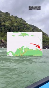 ❤️🇹🇹🇹🇹💯.... Red, White and Black is the code... 🎥👇🏽 @jaredranahan IG 🇹🇹 #trinidad #caribbean #underrated #travel #nature #wildlife #cuisine #food #trinifood #🇹🇹 | Angry Trini