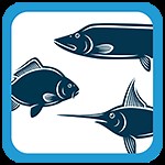 Deeper Pro  - Blog Pecheur.com