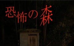 [害怕你就别玩恐怖游戏！]DeathForest 恐怖之森 - p1