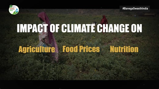 #BanegaSwasthIndia | India faced its hottest February in 2023 since record-keeping began in 1901. Extreme weather events - long dry spells, heatwaves, heavy rainfall followed by hailstorms – are all a manifestation of climate change and influence all sorts of crops in varied ways. We assess how extreme weather patterns in 2023 affected agriculture and what this means for the availability of food and its nutritional value. Read: http://swachhindia.ndtv.com/agriculture-grapples-with-climate-change