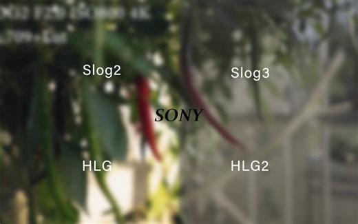 【4K】索尼Slog、HLG调色差别