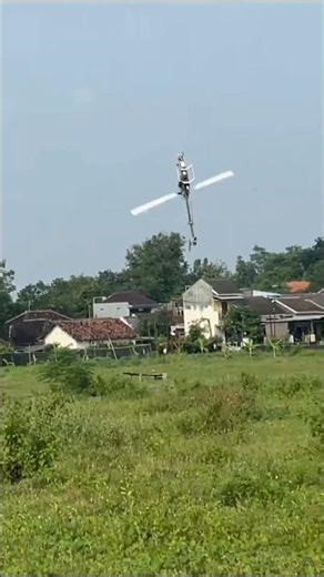 STUNT 3D ALIGN RC HELICOPTERS #rchelicopter #rcheli #rc