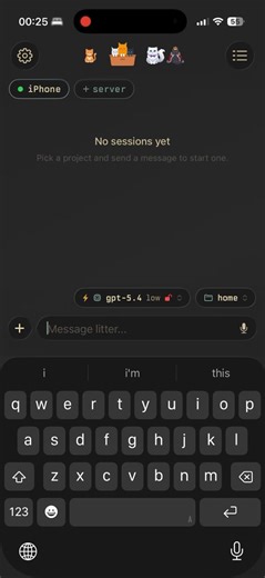 Kitty Litter can run codex entirely on your iPhone and Android without connecting any server. It can clone repos, create and edit files, etc. The data stays on your phone in the app's Documents folder.Check it out, it's completely free and open-source