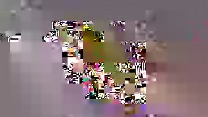 3K views · 28 reactions | The rainbow trout is one of the popular game fish in the state, but how did these Pacific stream natives find West Virginia’s eastern waters? Full story ➡ https://wchstv.com/community/wild-appalachia/wild-appalachia-rainbow-trout-spawning# | WCHS Eyewitness News | Facebook