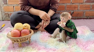 91K views · 3.8K reactions | Tiny Baby Emma Eating An Apple | Monkey Daily | Facebook