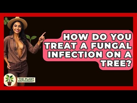 How Do You Treat A Fungal Infection On A Tree? - The Plant Enthusiast