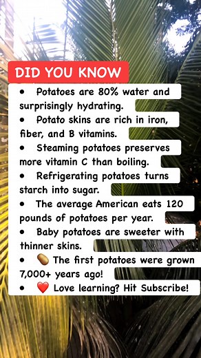 181K views · 1.7K reactions | Potato Facts That’ll Make You See Fries Differently  #PotatoFacts #FoodFacts #facts | Bangla Quiz | Facebook