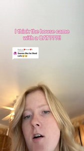 Replying to @❤Mutale❤ Treasure House💎🏡 cat count just went up by one😳. #treasurehouse #homerenovation #diyproject #vlog #catsoftiktok #cattok | Chloeisag