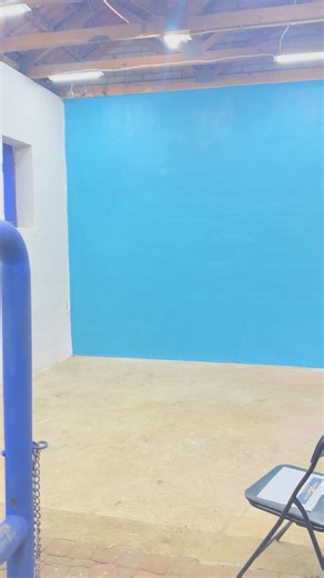 Beautiful blank canvas loading for a special mural for 2026 - creating a calming equine theatre space allowing nature to take the lead on this one. | Robyn Chislett Art