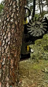 tree working #machine | Agriculture &Tree-cutting